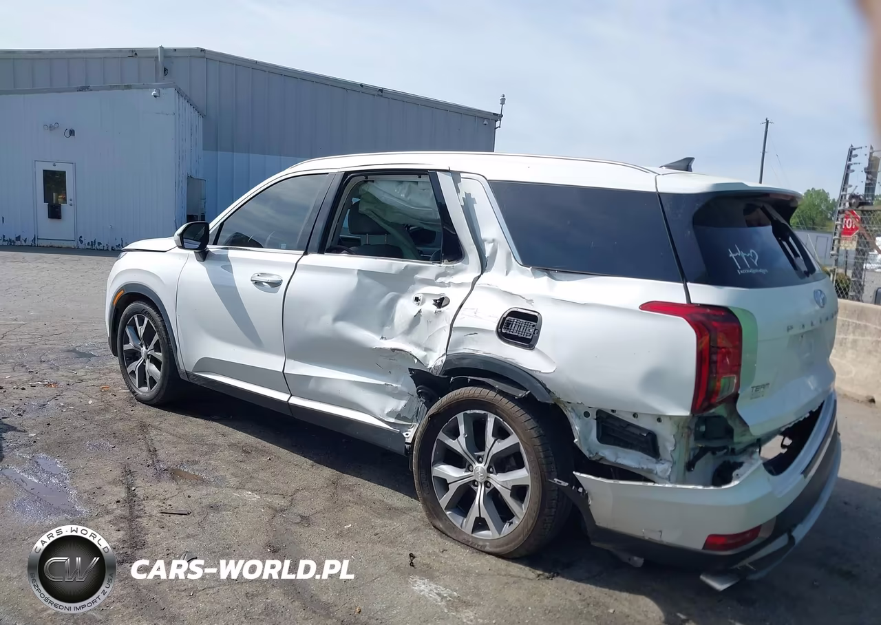 2021 Hyundai Palisade Sel VIN:KM8R4DHE8MU256688 - 3