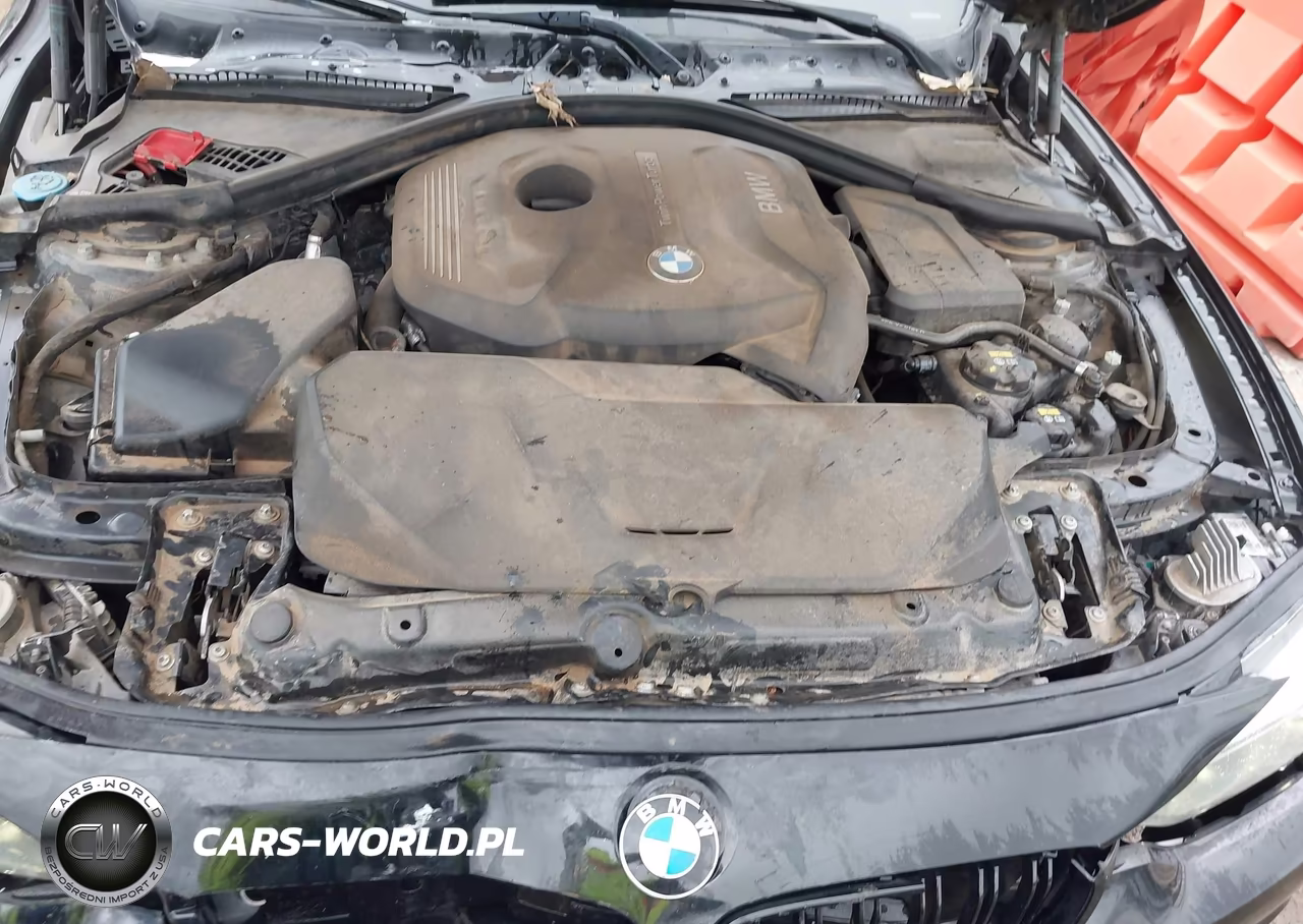 2018 BMW 430I Gran Coupe xDrive VIN:WBA4J3C52JBG95482 - 10