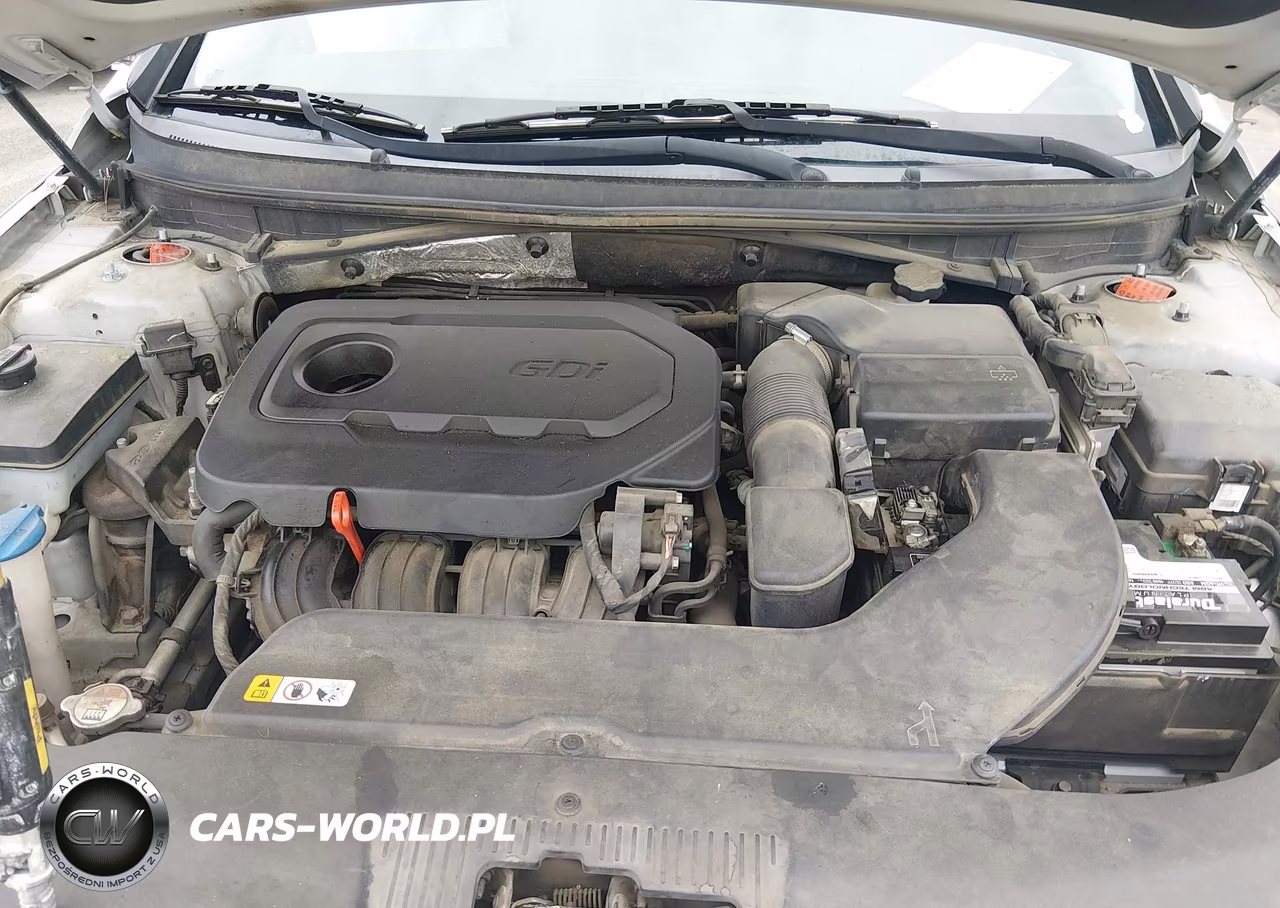 2015 Hyundai Sonata Se VIN:5NPE24AF7FH155036 - 10