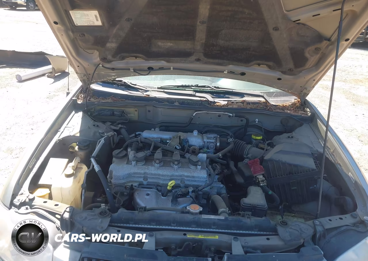 2004 Nissan Sentra 1.8 VIN:3N1CB51D44L482523 - 10