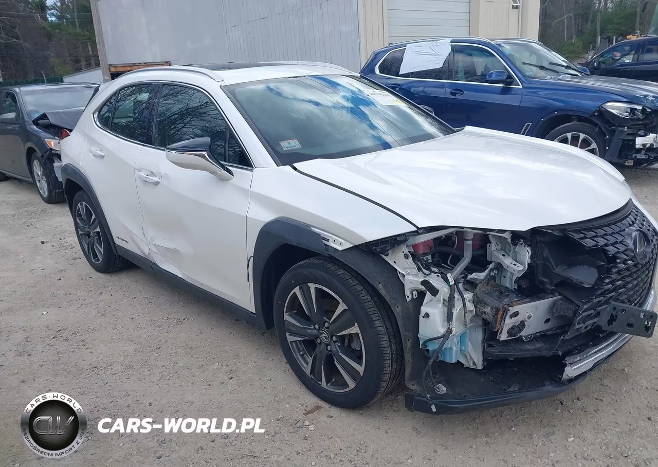 2019 Lexus Ux 250H