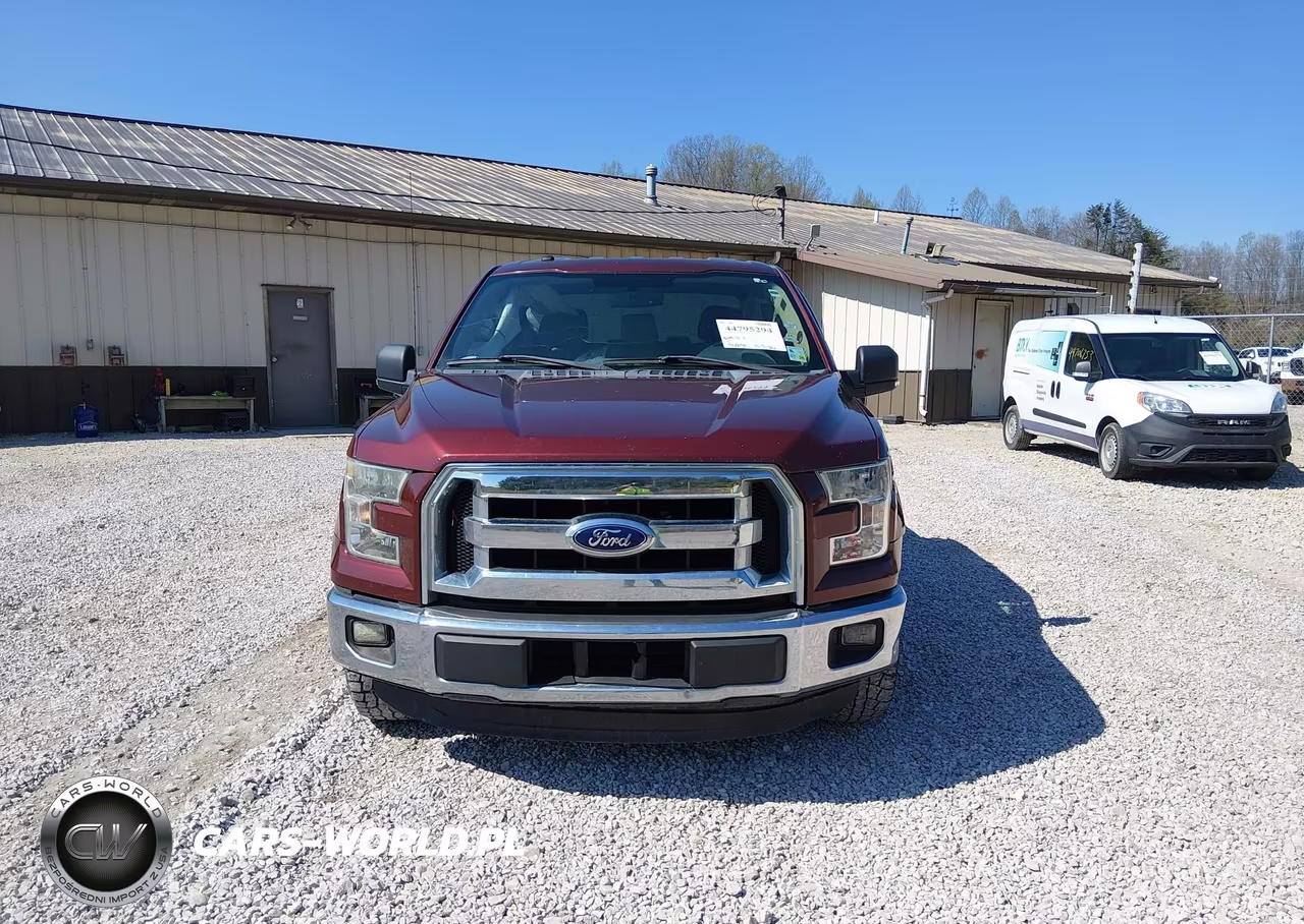 2016 Ford F-150 Xlt VIN:1FTEW1CP5GKF61084 - 13