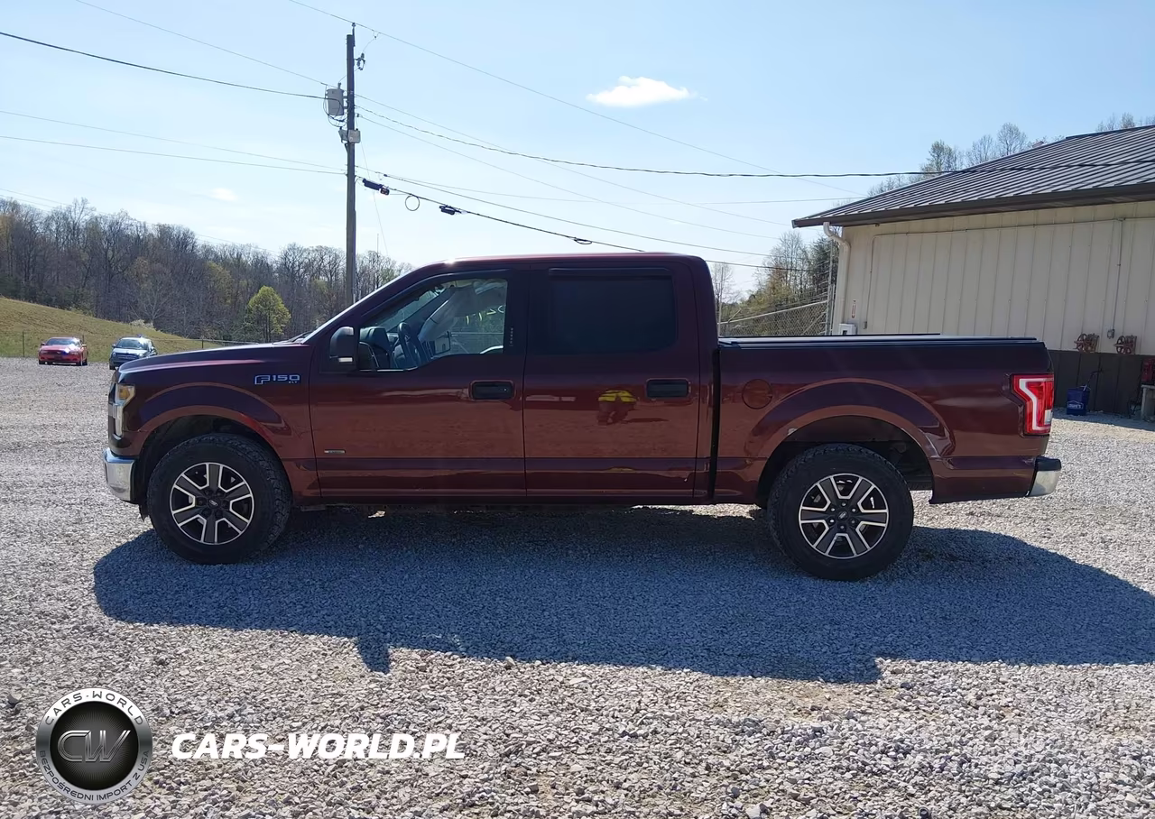 2016 Ford F-150 Xlt VIN:1FTEW1CP5GKF61084 - 15