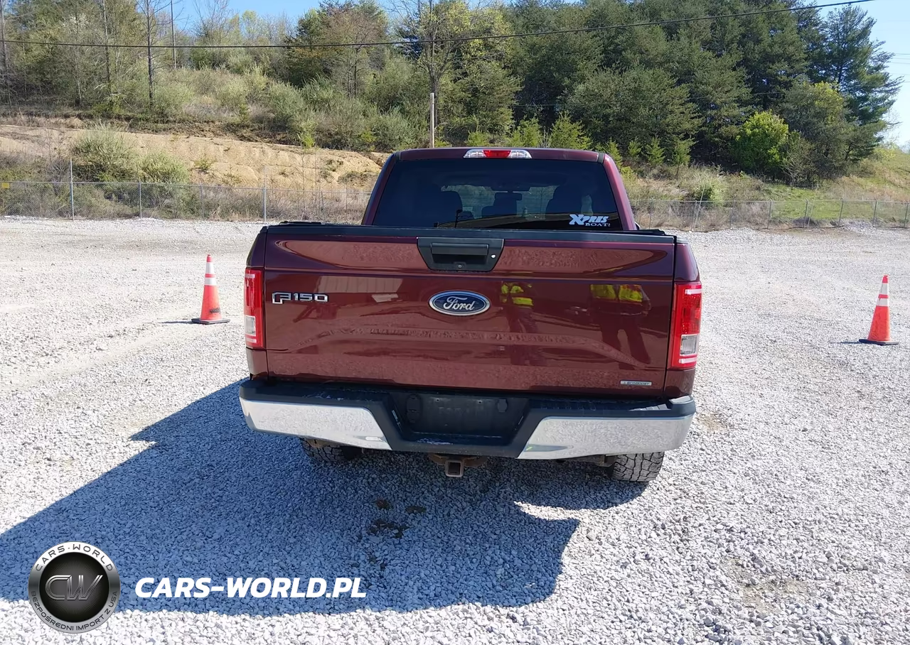2016 Ford F-150 Xlt VIN:1FTEW1CP5GKF61084 - 17
