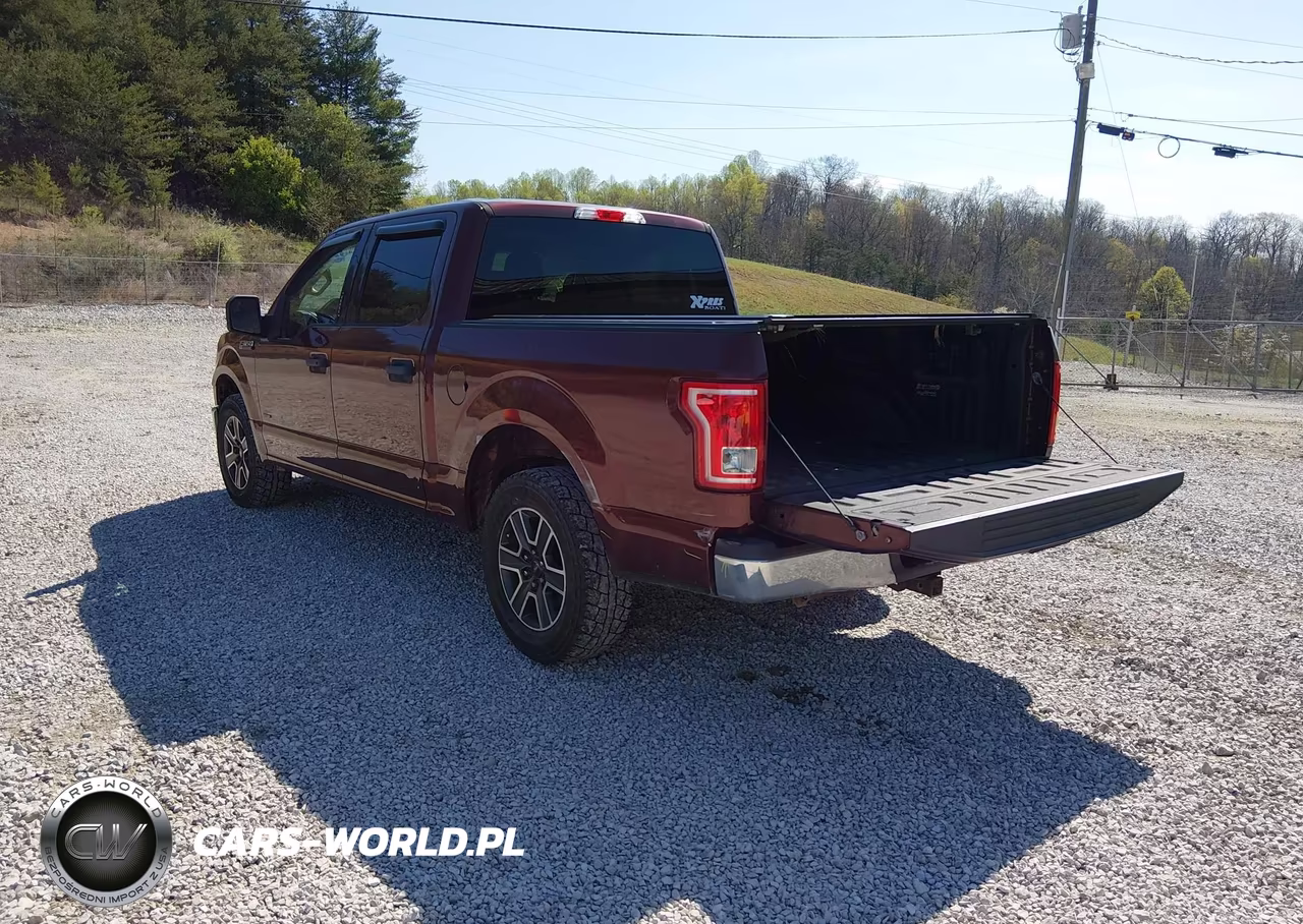2016 Ford F-150 Xlt VIN:1FTEW1CP5GKF61084 - 3