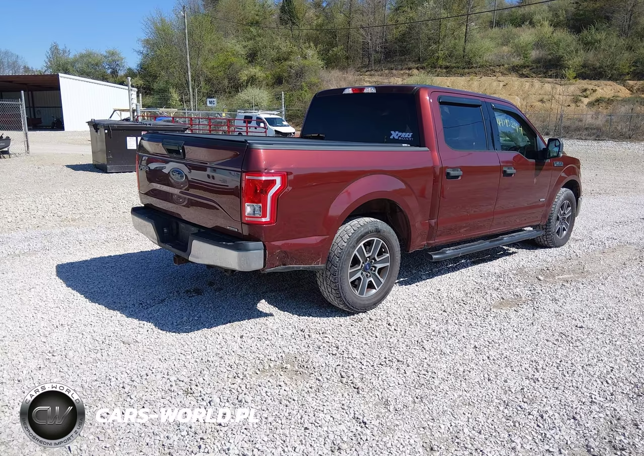 2016 Ford F-150 Xlt VIN:1FTEW1CP5GKF61084 - 4