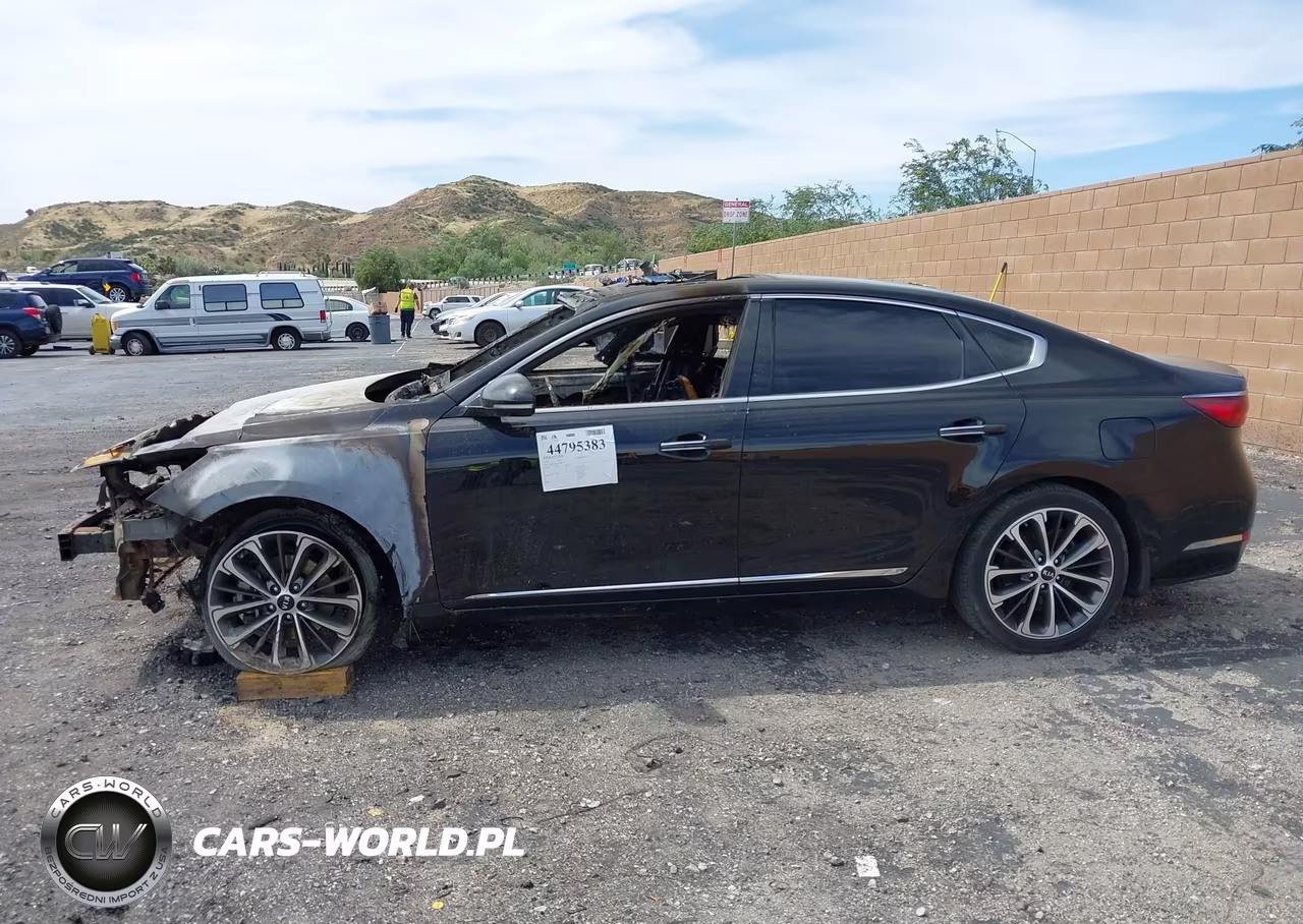 2018 Kia Cadenza Technology VIN:KNALC4J11J5100998 - 13