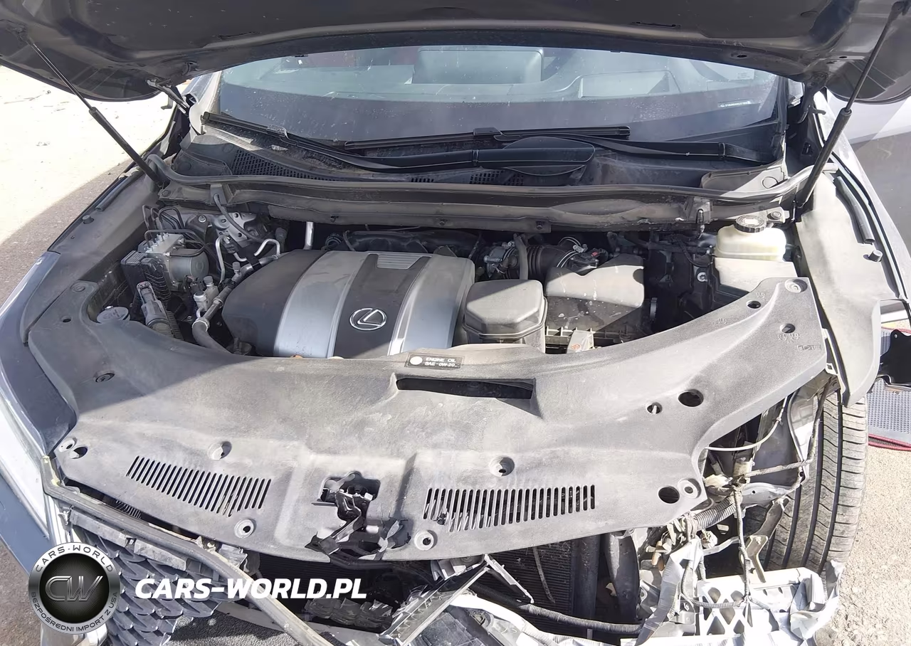 2019 Lexus Rx 350 F Sport VIN:2T2BZMCA3KC171906 - 10