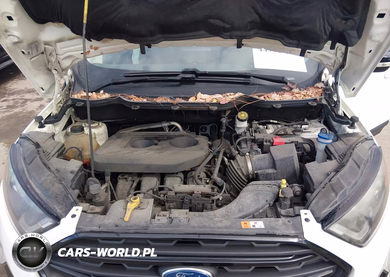2020 Ford Ecosport Ses VIN:MAJ6S3JL4LC352666 - 10