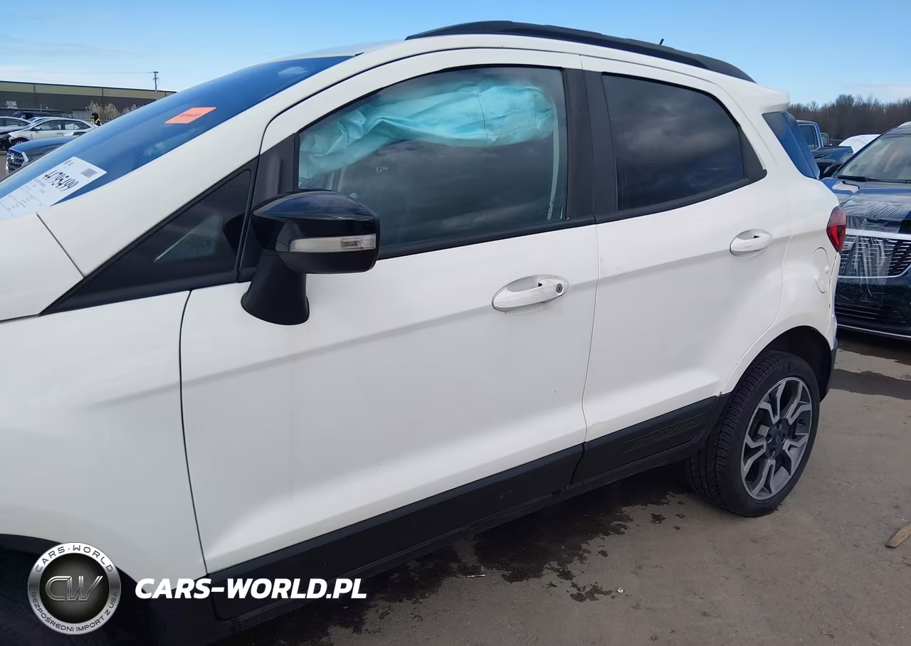 2020 Ford Ecosport Ses VIN:MAJ6S3JL4LC352666 - 14