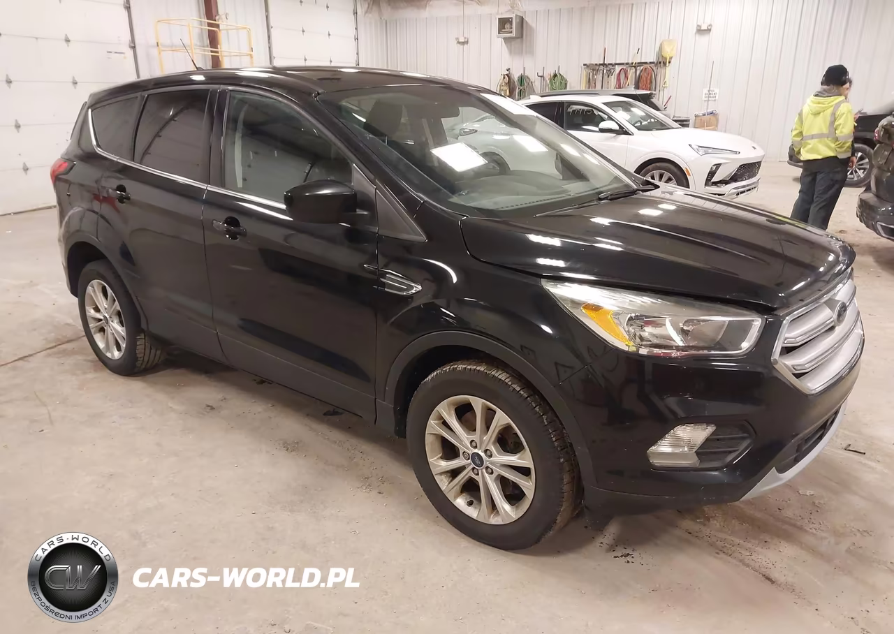 2019 Ford Escape Se
