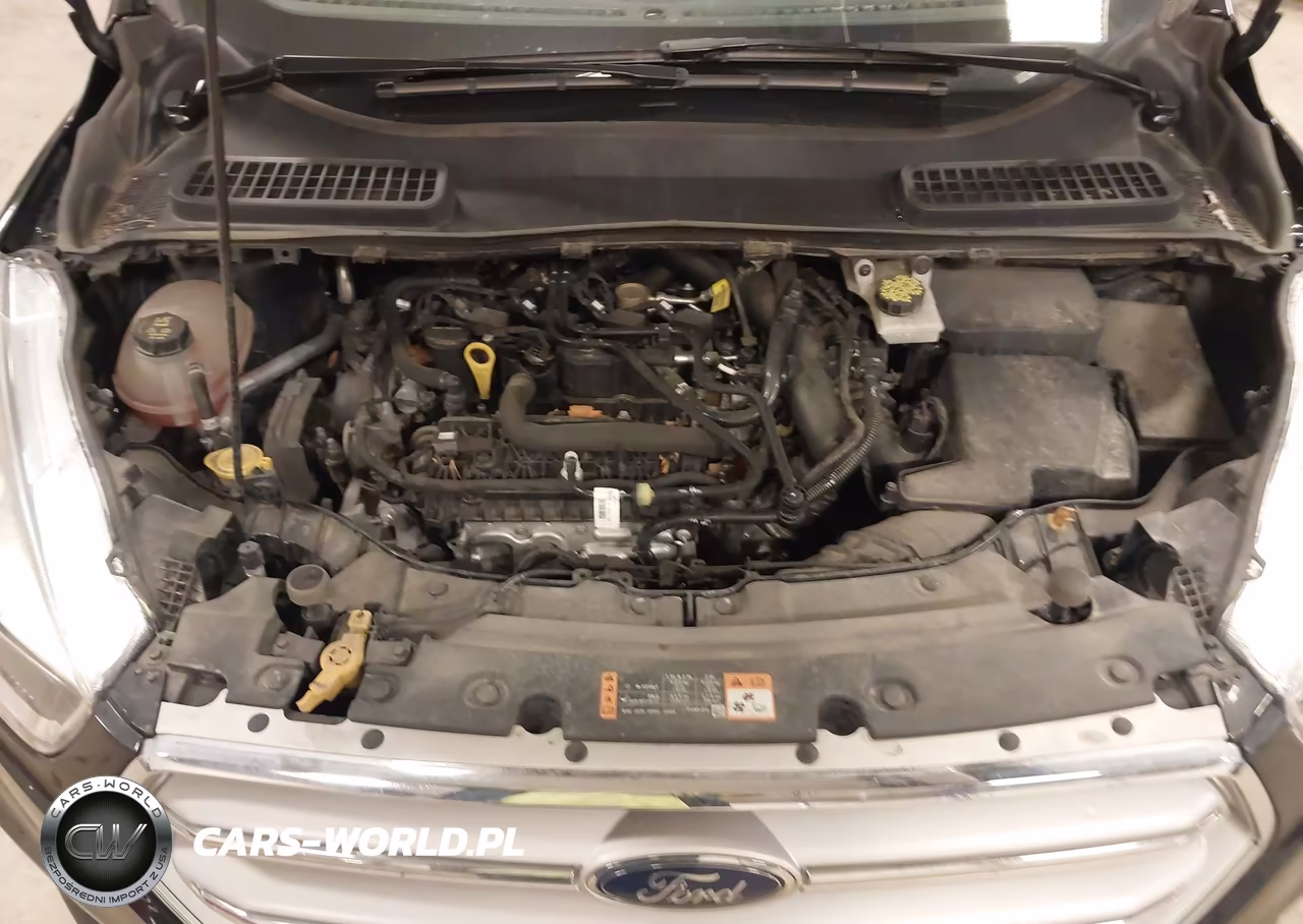 2019 Ford Escape Se VIN:1FMCU9GD8KUB38228 - 10