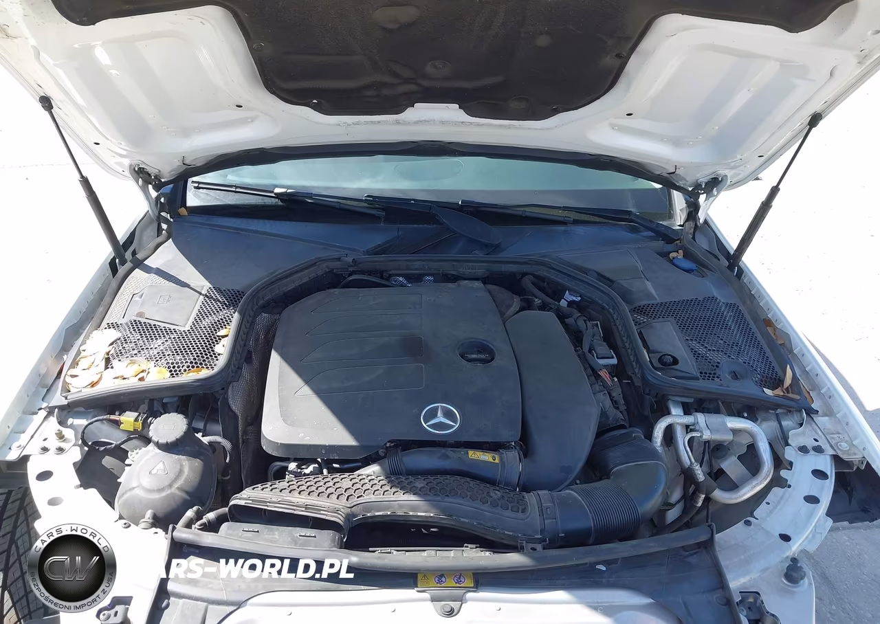 2019 Mercedes-Benz C 300 VIN:55SWF8DB0KU282761 - 10