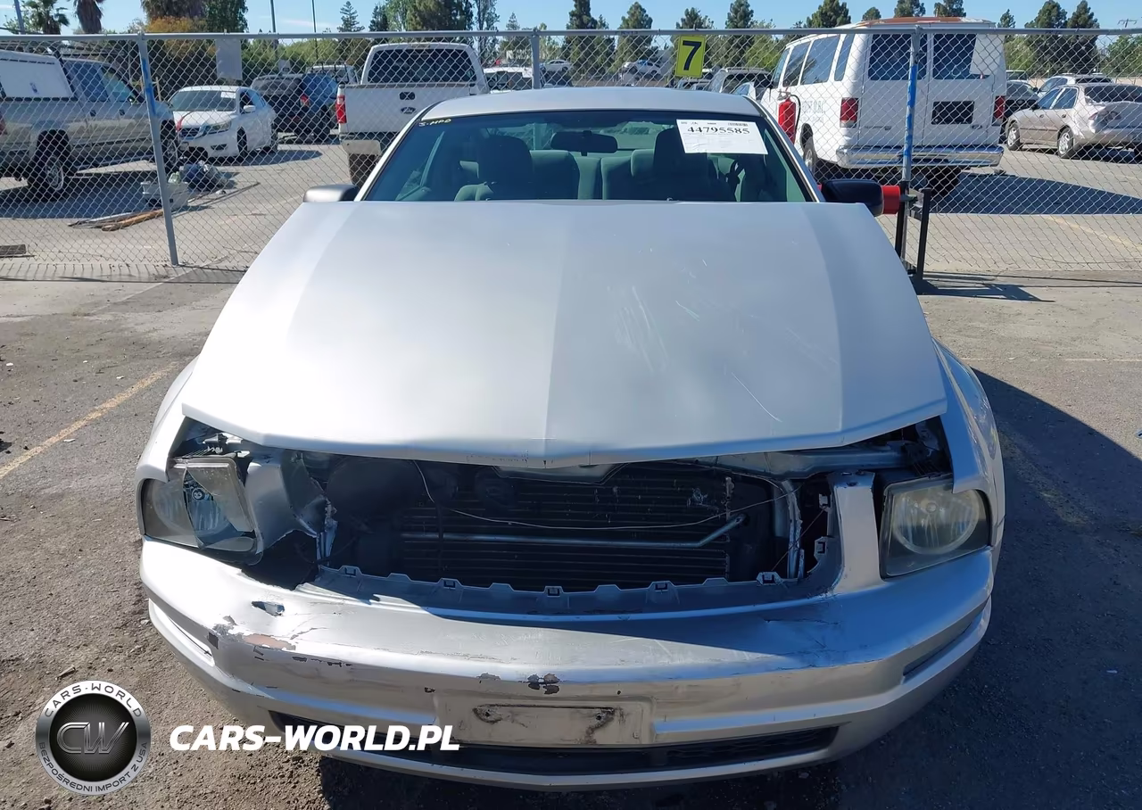 2008 Ford Mustang V6 Deluxe-V6 Premium VIN:1ZVHT80N985163925 - 12