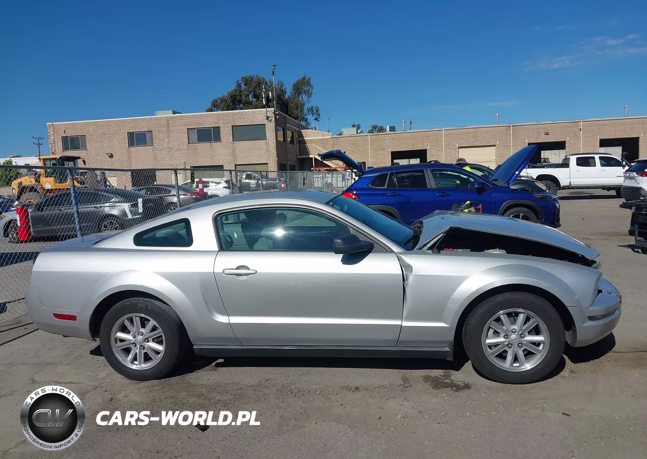 2008 Ford Mustang V6 Deluxe-V6 Premium VIN:1ZVHT80N985163925 - 13