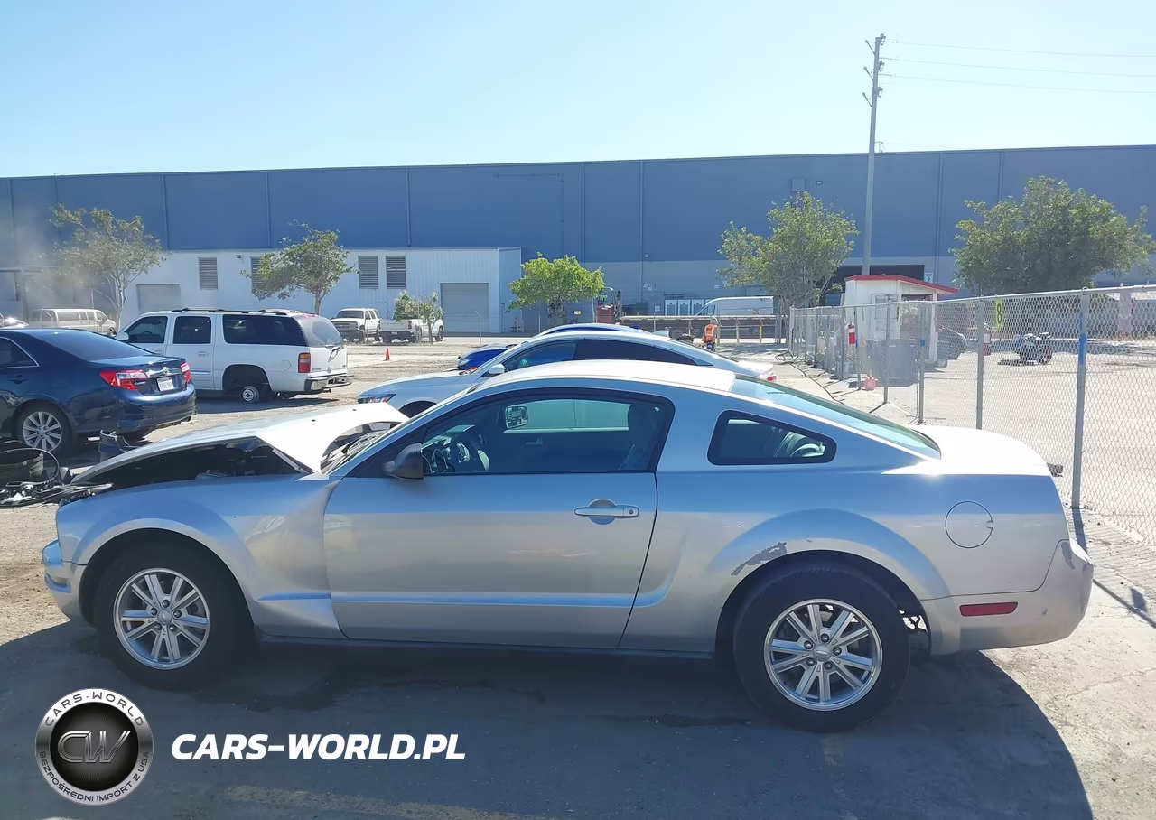 2008 Ford Mustang V6 Deluxe-V6 Premium VIN:1ZVHT80N985163925 - 14