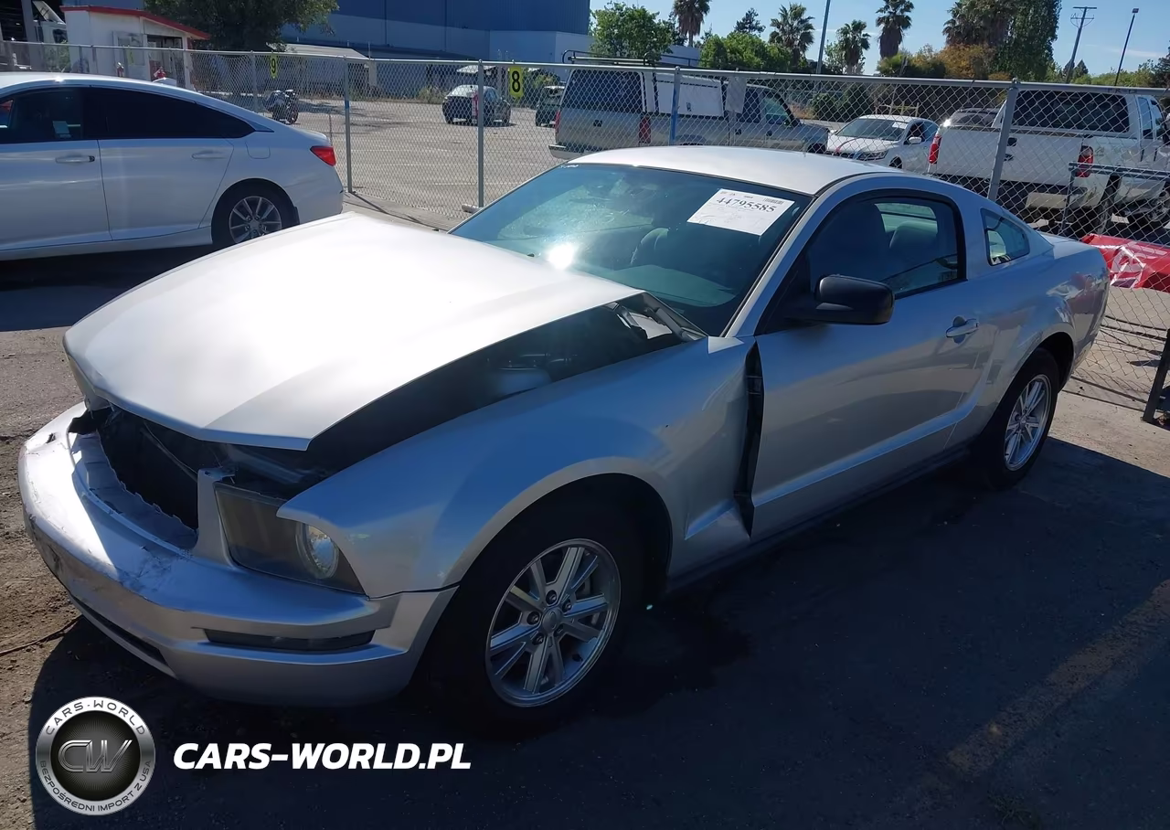 2008 Ford Mustang V6 Deluxe-V6 Premium VIN:1ZVHT80N985163925 - 2