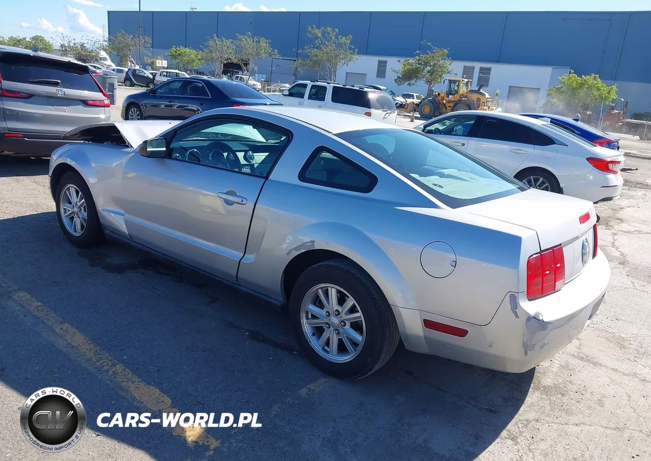 2008 Ford Mustang V6 Deluxe-V6 Premium VIN:1ZVHT80N985163925 - 3