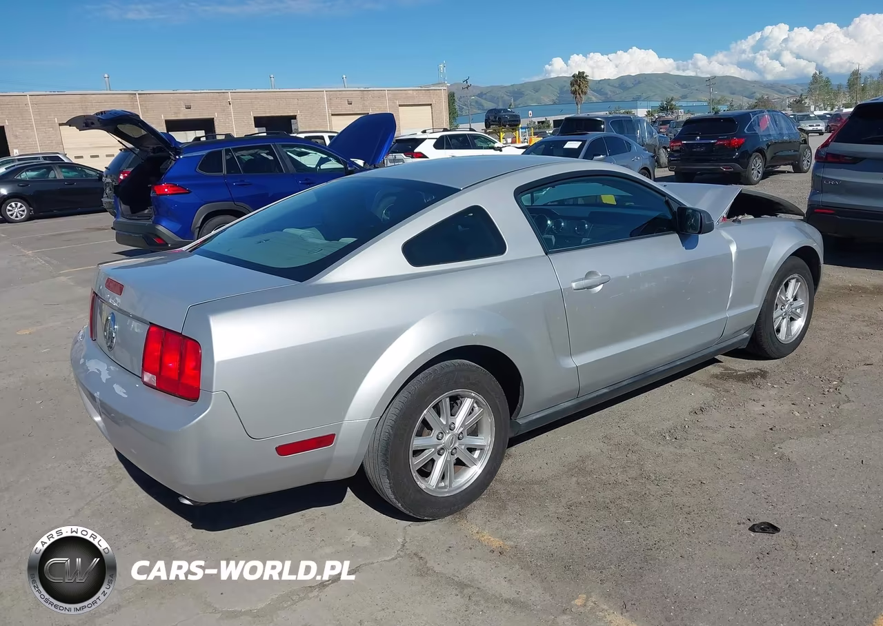 2008 Ford Mustang V6 Deluxe-V6 Premium VIN:1ZVHT80N985163925 - 4