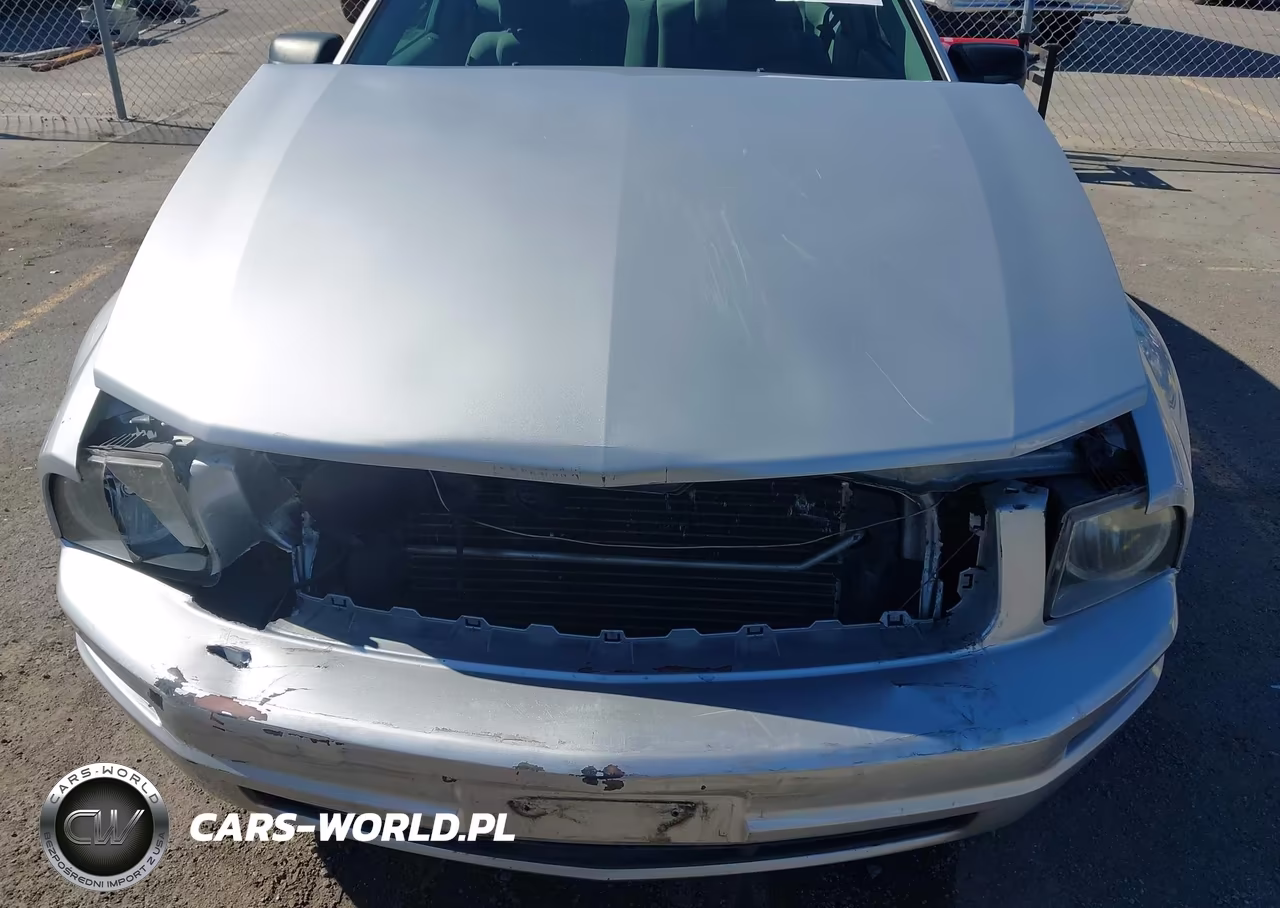 2008 Ford Mustang V6 Deluxe-V6 Premium VIN:1ZVHT80N985163925 - 6