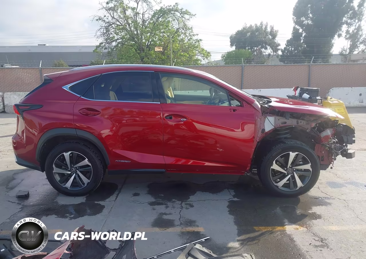 2021 Lexus Nx 300H VIN:JTJGJRDZ0M5014270 - 13