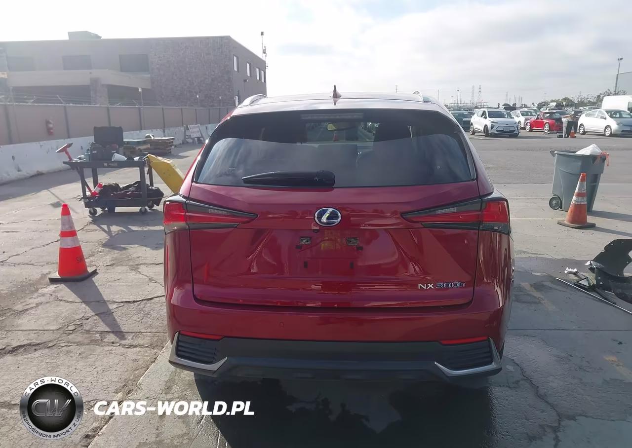 2021 Lexus Nx 300H VIN:JTJGJRDZ0M5014270 - 16