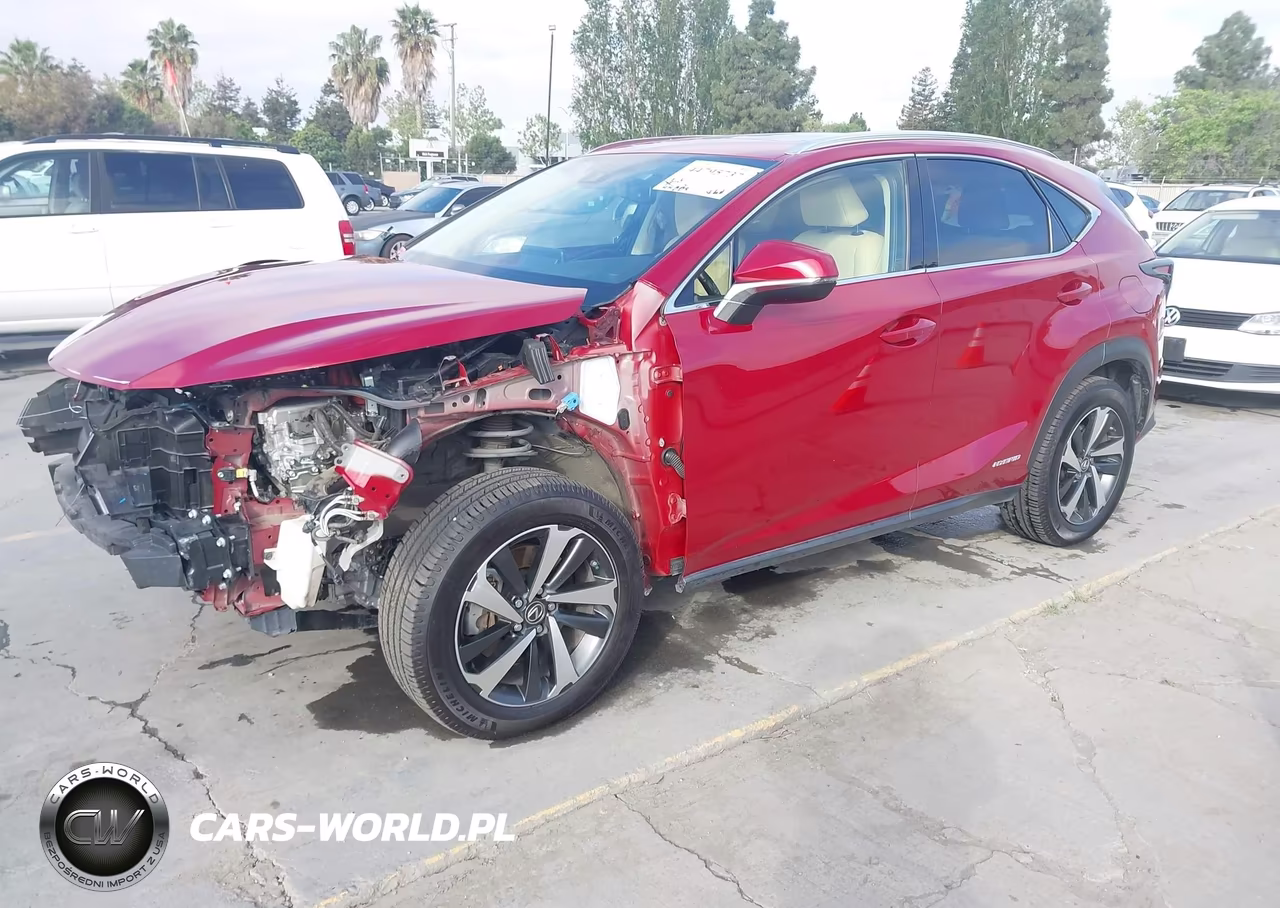 2021 Lexus Nx 300H VIN:JTJGJRDZ0M5014270 - 2