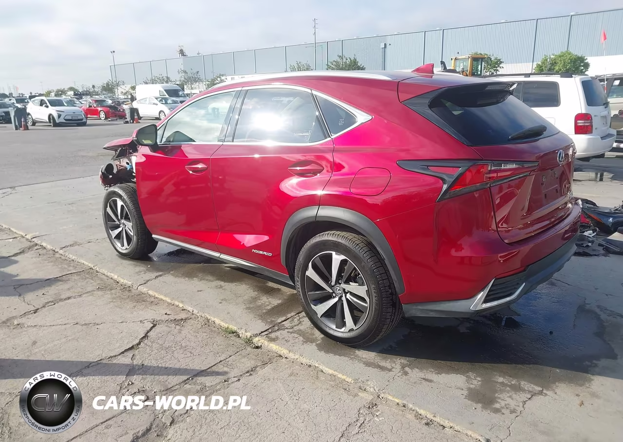 2021 Lexus Nx 300H VIN:JTJGJRDZ0M5014270 - 3