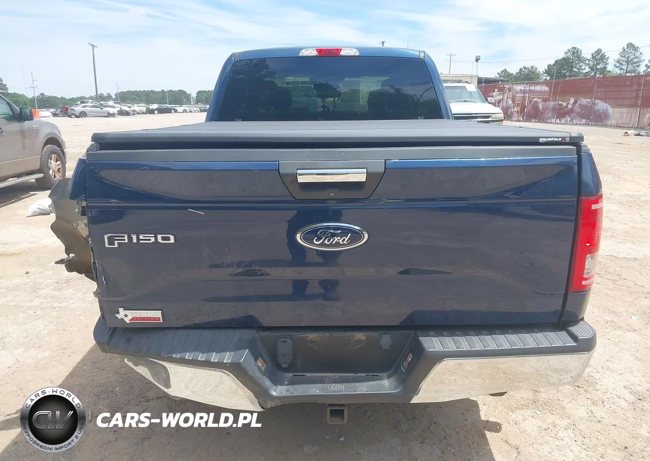 2017 Ford F-150 Xlt VIN:1FTEX1CPXHKD07109 - 16