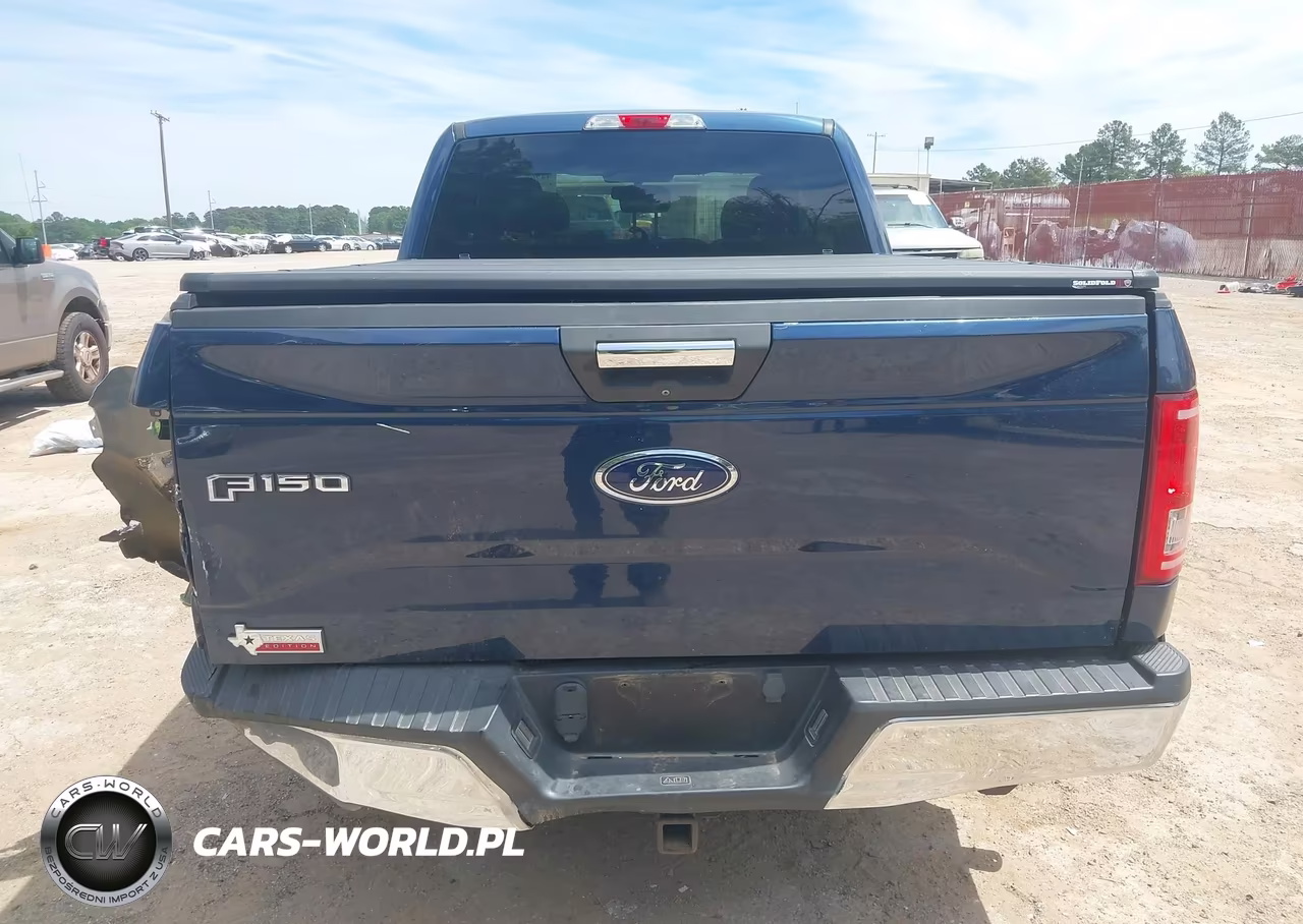 2017 Ford F-150 Xlt VIN:1FTEX1CPXHKD07109 - 17