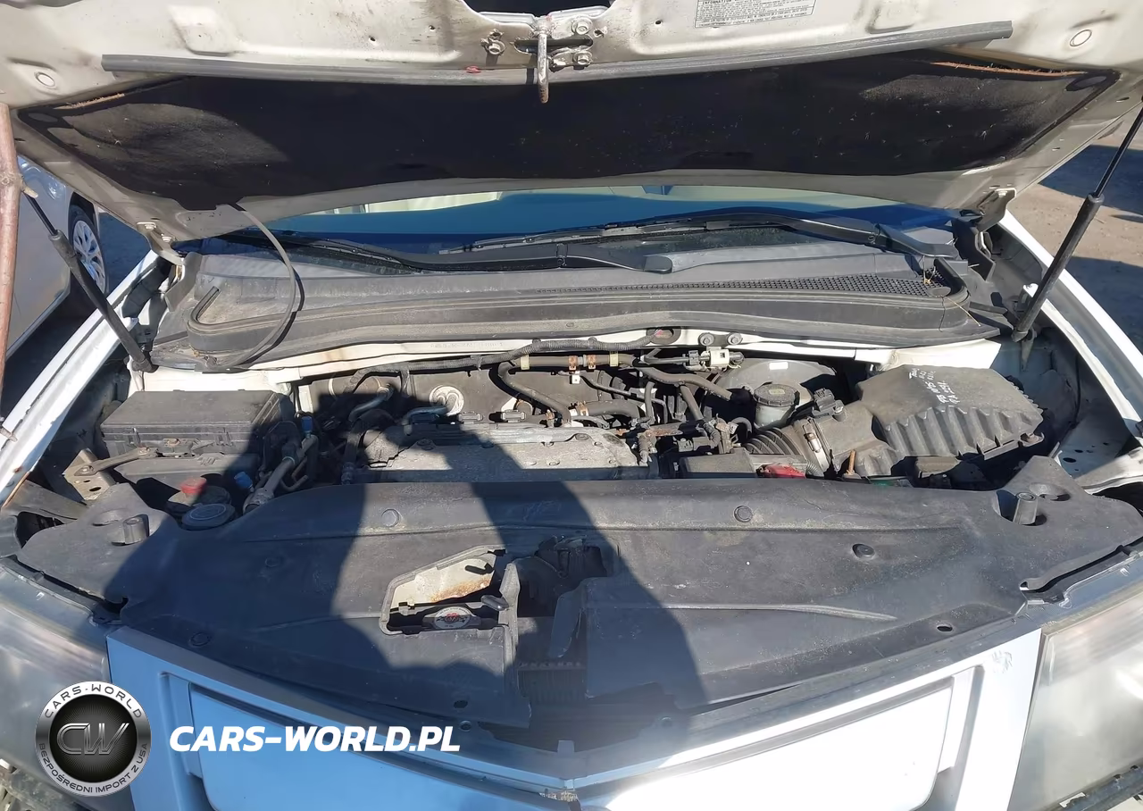 2010 Acura Mdx Technology Package VIN:2HNYD2H67AH518061 - 10