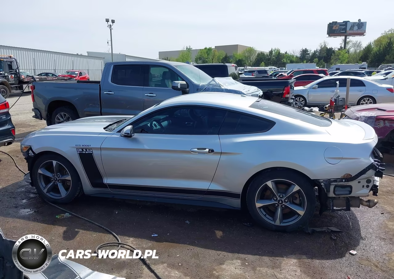 2017 Ford Mustang Ecoboost VIN:1FA6P8TH5H5263787 - 15
