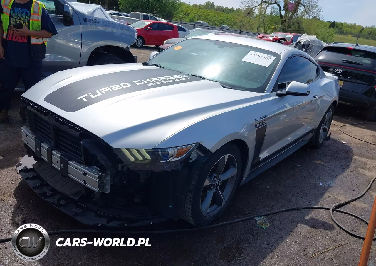 2017 Ford Mustang Ecoboost VIN:1FA6P8TH5H5263787 - 2