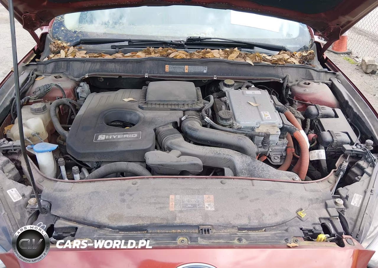2014 Ford Fusion Hybrid Titanium VIN:3FA6P0RU3ER278917 - 10