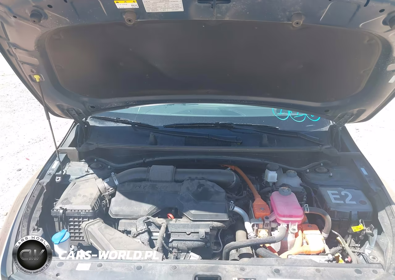 2025 Kia Sportage Hybrid Ex VIN:KNDPVCDG3S7206531 - 10