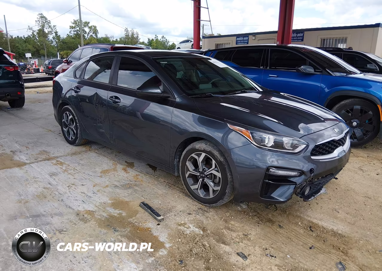 2019 Kia Forte Lxs