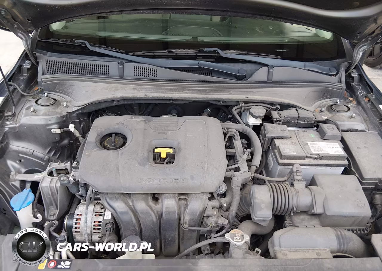 2019 Kia Forte Lxs VIN:3KPF24AD3KE120561 - 10