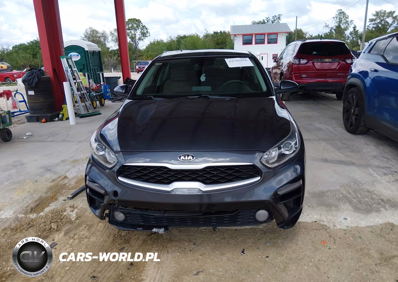 2019 Kia Forte Lxs VIN:3KPF24AD3KE120561 - 12
