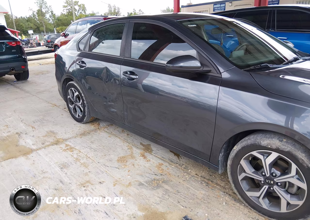 2019 Kia Forte Lxs VIN:3KPF24AD3KE120561 - 17