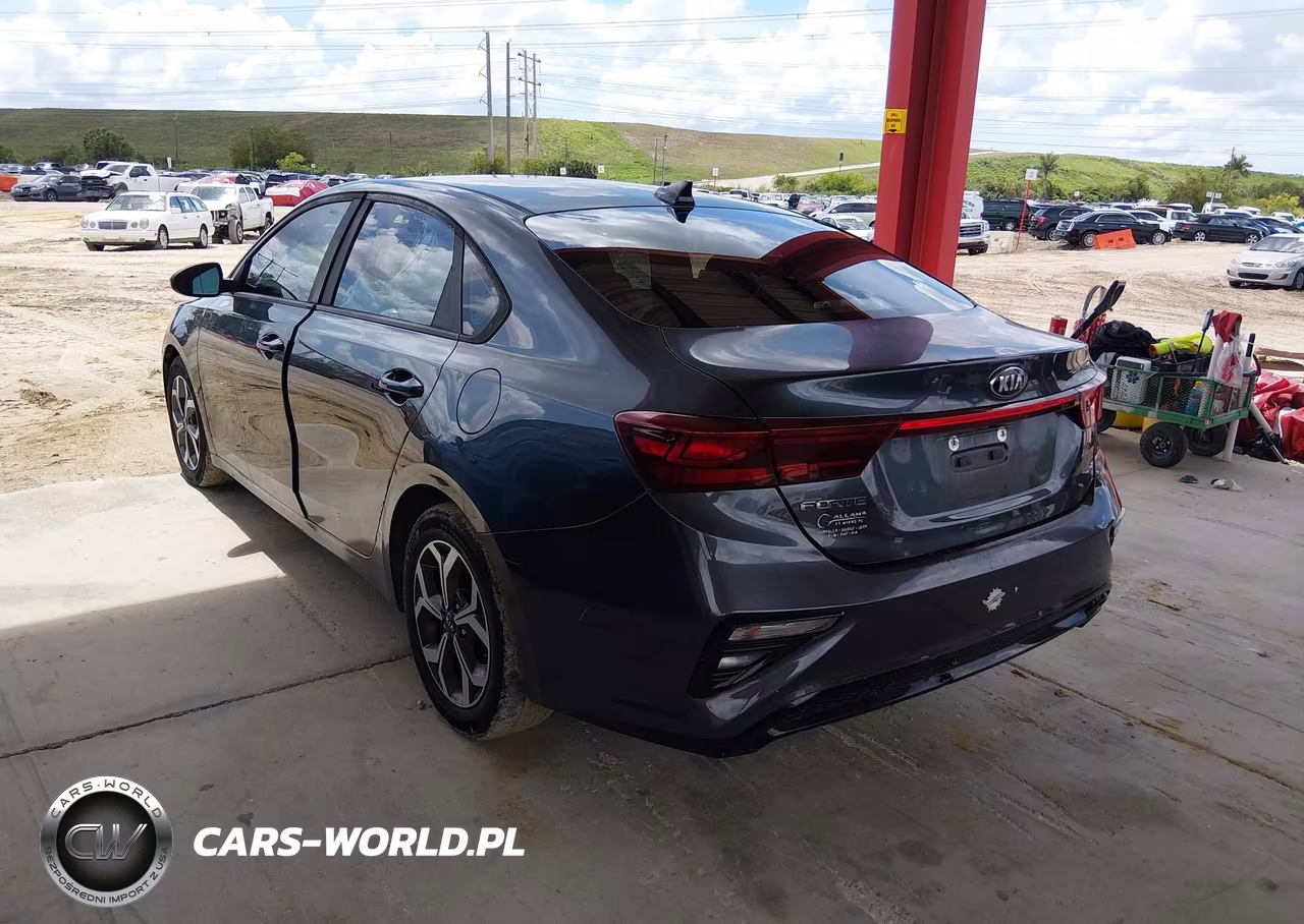 2019 Kia Forte Lxs VIN:3KPF24AD3KE120561 - 3