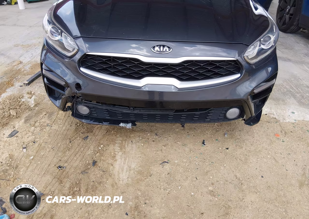 2019 Kia Forte Lxs VIN:3KPF24AD3KE120561 - 6
