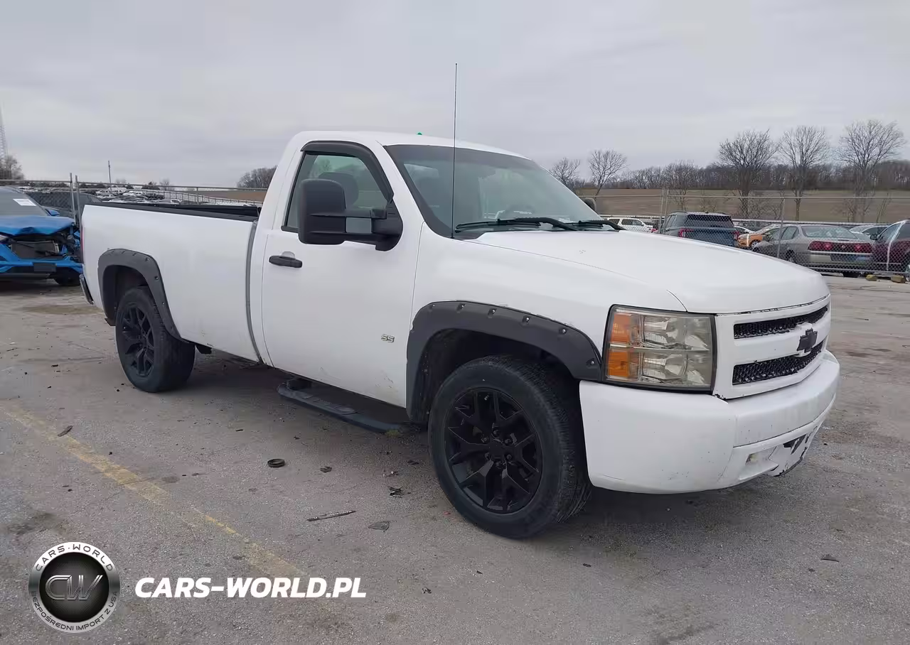 2007 Chevrolet Silverado 1500 Work Truck