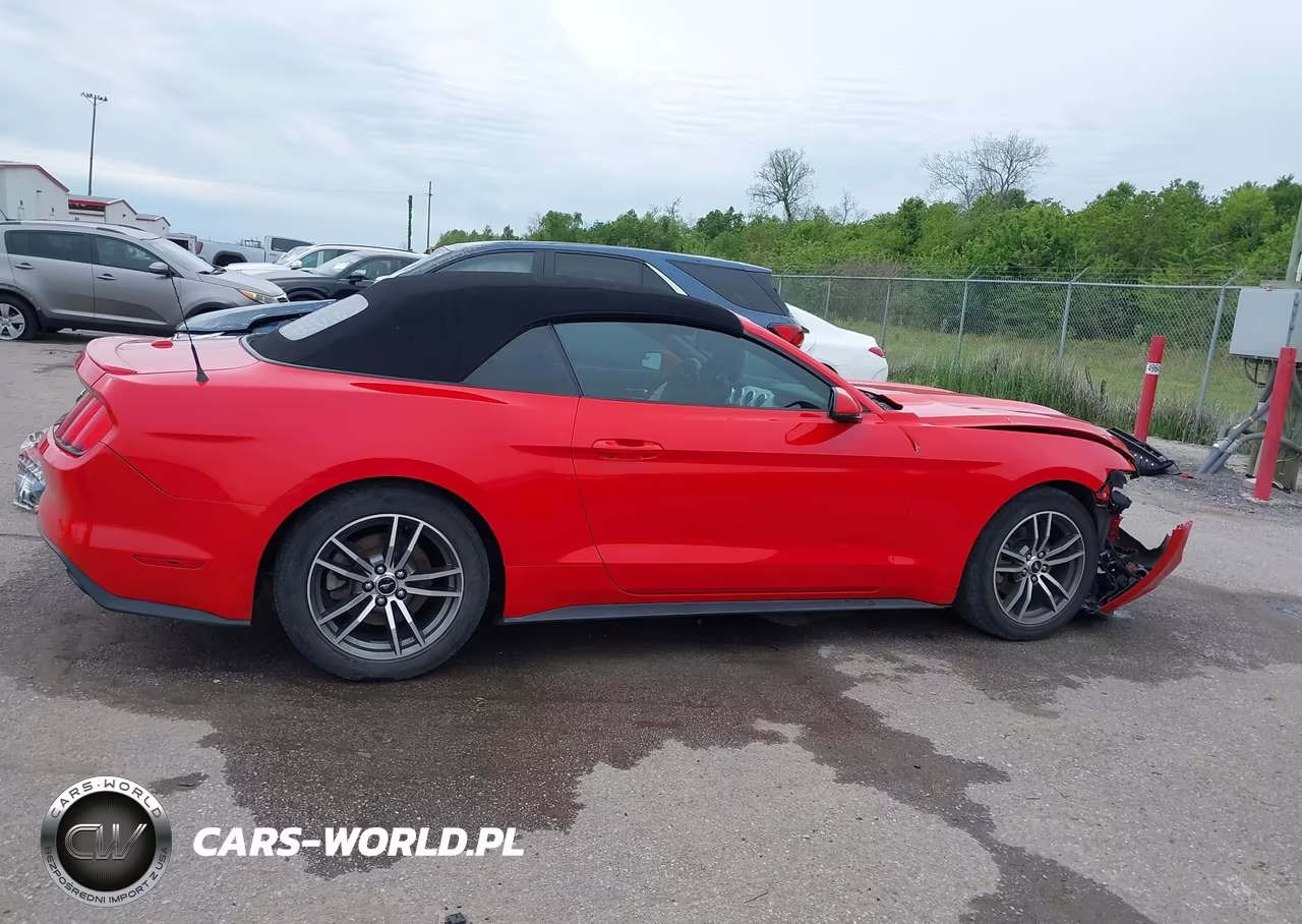 2017 Ford Mustang Ecoboost Premium VIN:1FATP8UH0H5218581 - 13