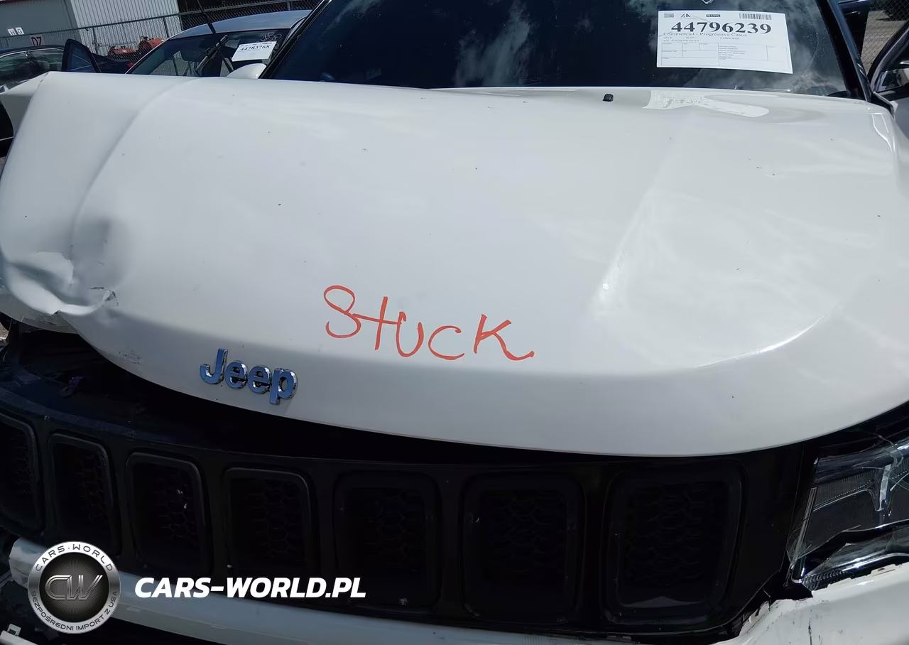 2019 Jeep Compass Limited 4X4 VIN:3C4NJDCB9KT673916 - 10