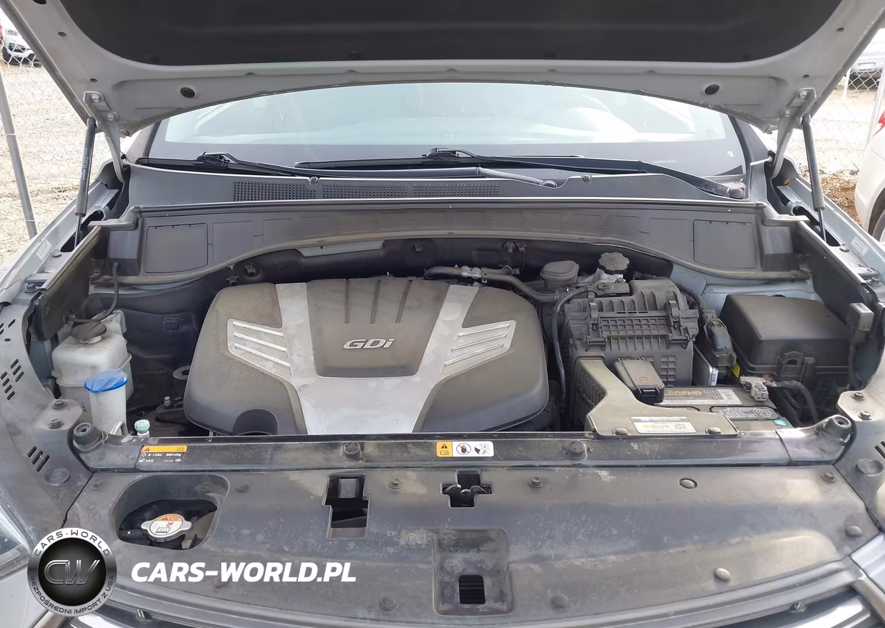 2019 Hyundai Santa Fe Xl Limited Ultimate VIN:KM8SR4HF7KU304478 - 10