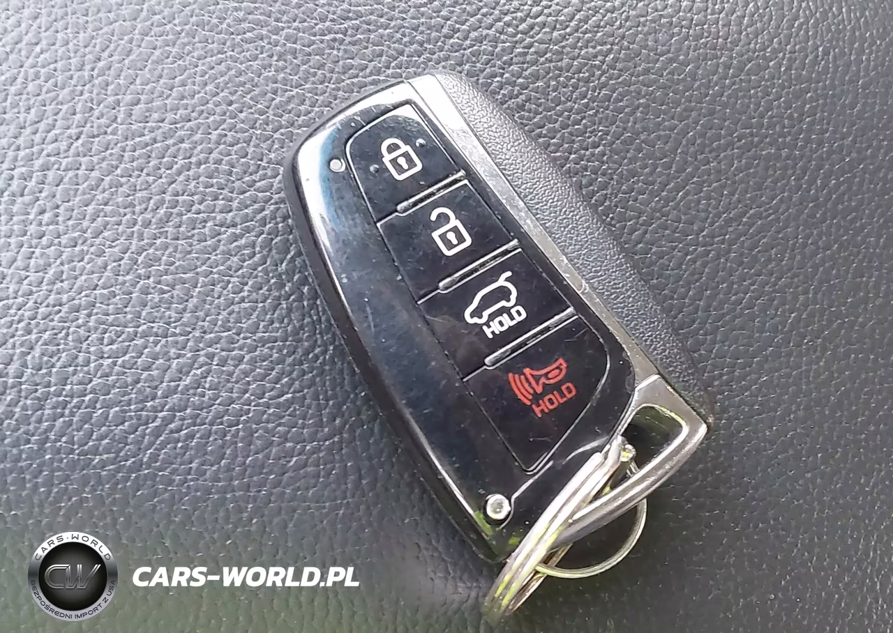 2019 Hyundai Santa Fe Xl Limited Ultimate VIN:KM8SR4HF7KU304478 - 11
