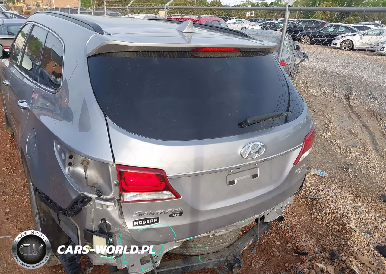 2019 Hyundai Santa Fe Xl Limited Ultimate VIN:KM8SR4HF7KU304478 - 16