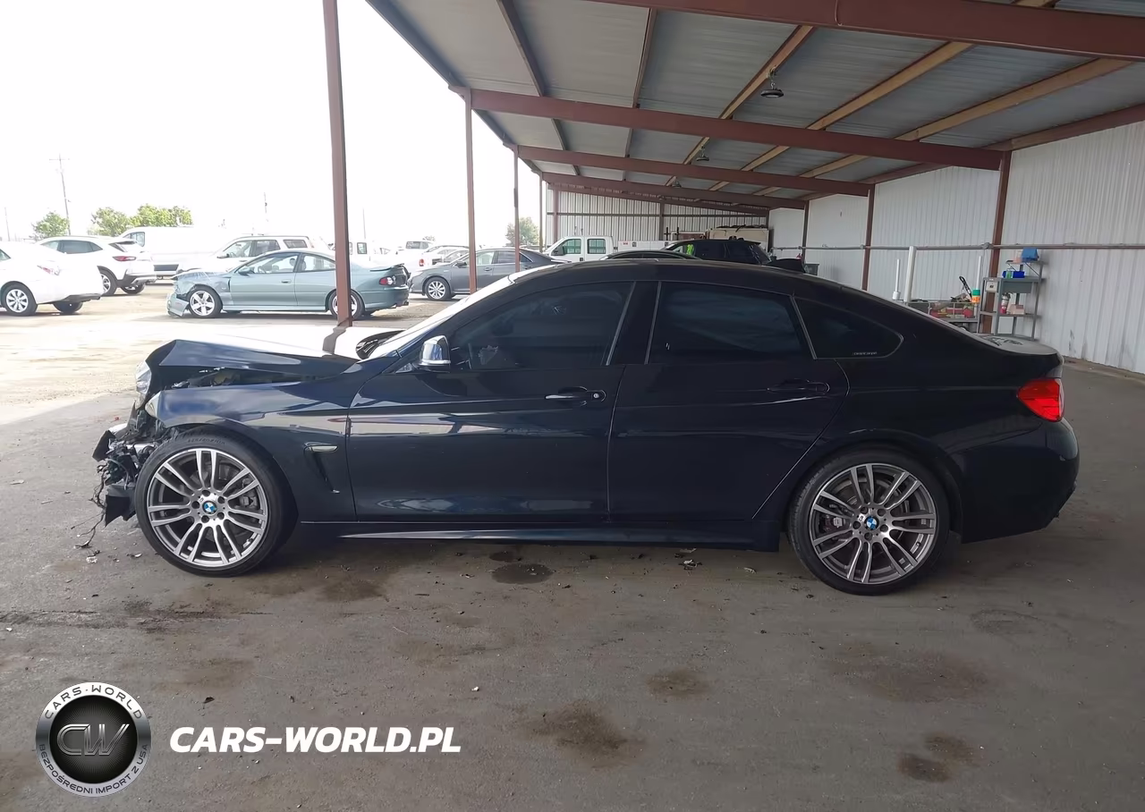 2015 BMW 428 Gran Coupe VIN:WBA4A5C59FD410863 - 15