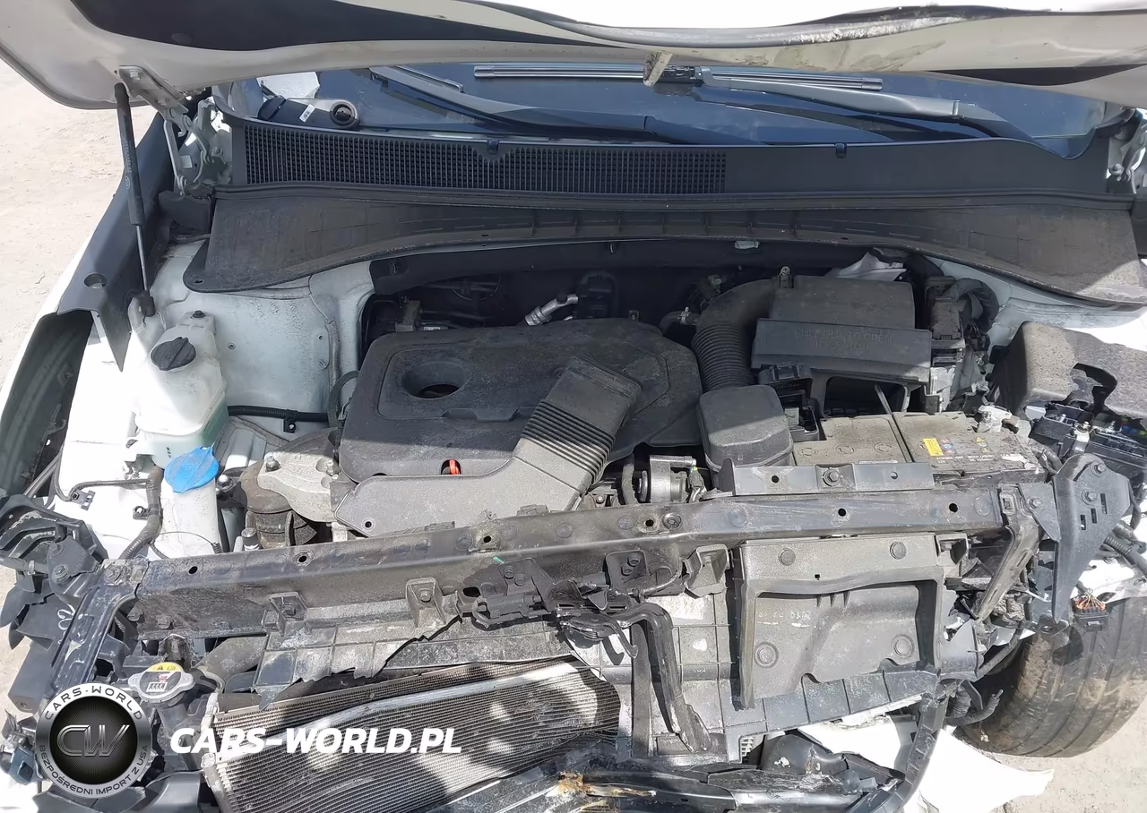2020 Kia Sorento 2.4L Lx VIN:5XYPGDA33LG631821 - 10