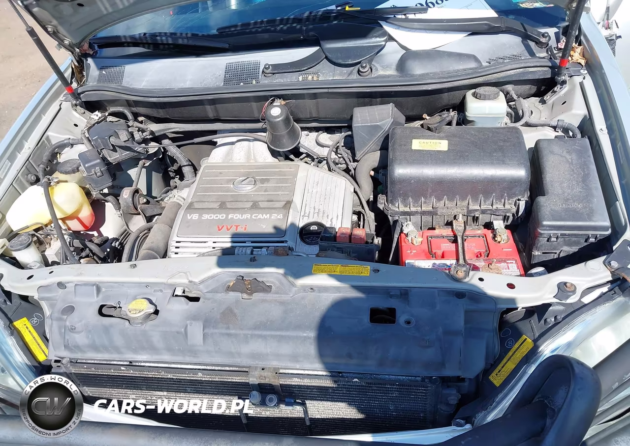 2003 Lexus Rx 300 VIN:JTJHF10U930302740 - 10